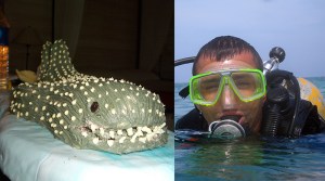 2005 liam and whale shark cake