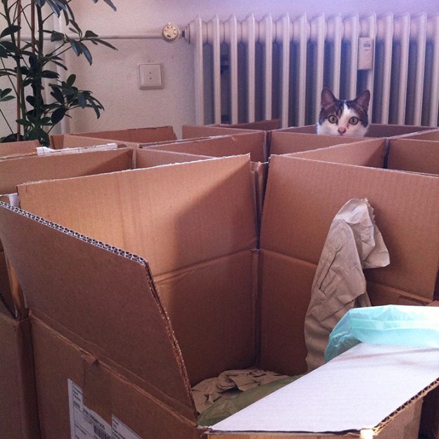 2016 book arrived-bocelli in box