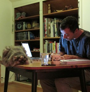 2015 proofreading with pushka