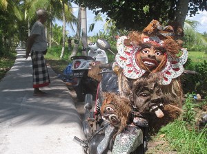2017 in ubuds ricefields