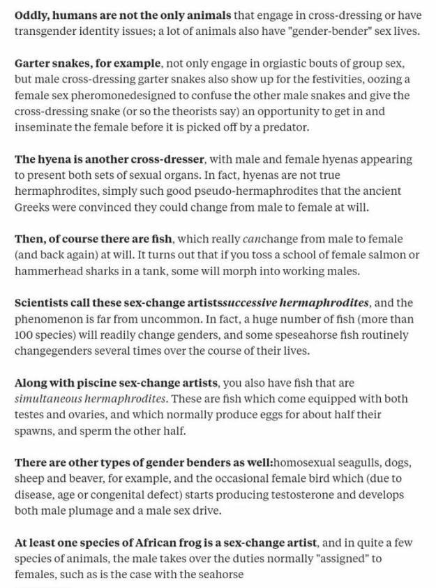 20431529_1657505807625182_3685409066407646112_n