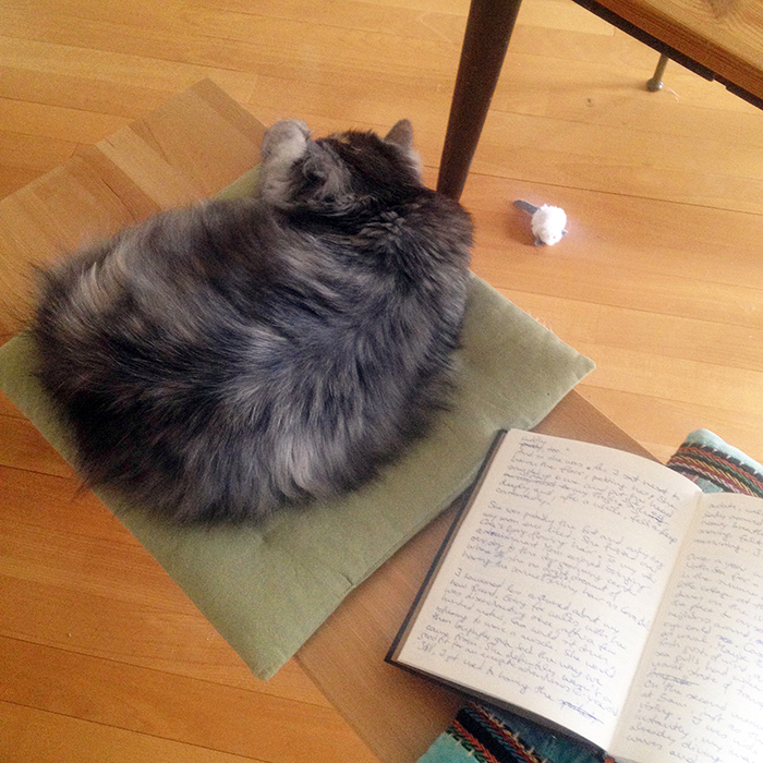 pushka and first draft 2