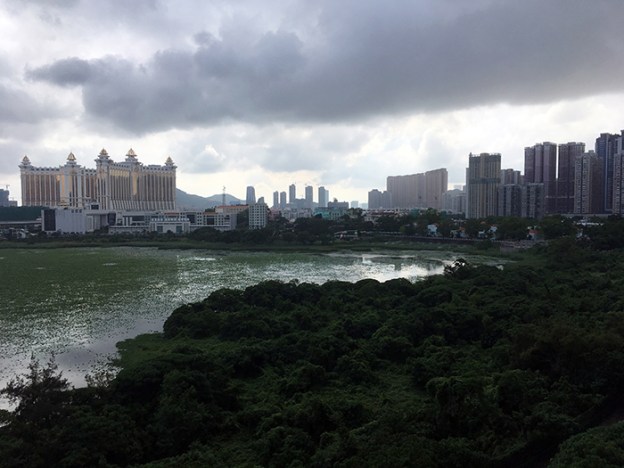 taipa after the storm